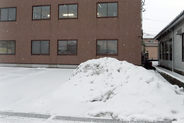 大雪1か月後