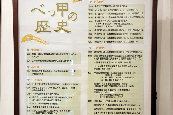 べっ甲の歴史　べっ甲工芸館