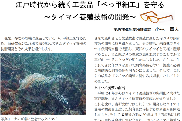 べっ甲の歴史　べっ甲工芸館