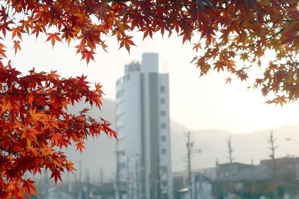 年末年始　休業のお知らせ