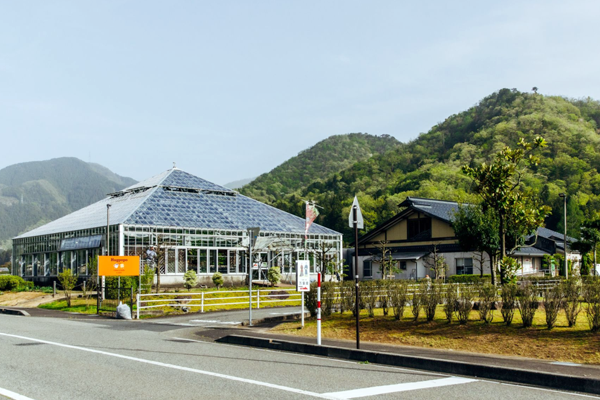 万葉菊花園