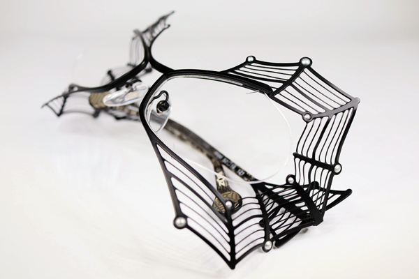 蜘蛛の巣めがね?