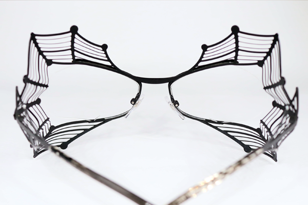 蜘蛛の巣めがね?