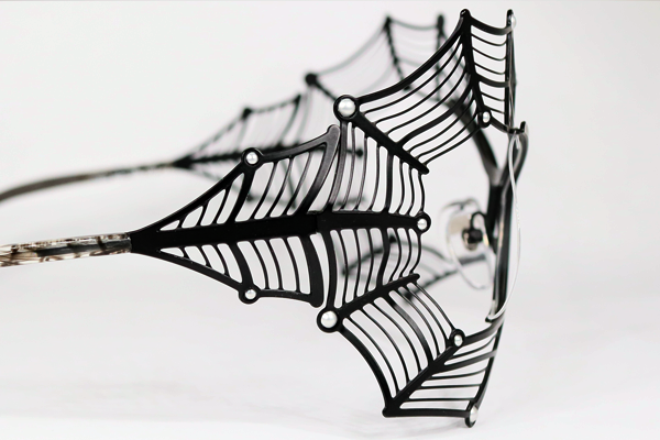 蜘蛛の巣めがね?