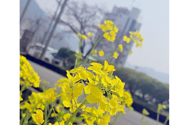 ゴールデンウィーク営業日案内